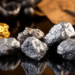 Featured image for article: Creating a Diversified Precious Metals Portfolio