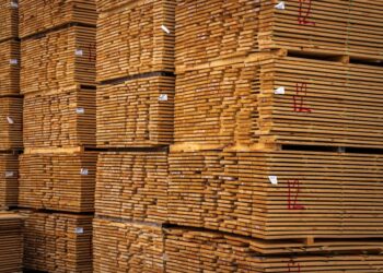 Featured image for: Allocated vs. Unallocated Storage: Why You Must Know the Difference.