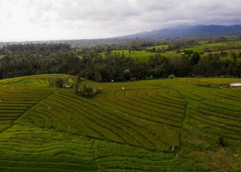 Featured image for: The Green Gold Rush: How Sustainable Mining Tech is Impacting Gold Prices