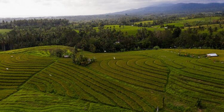 Featured image for: The Green Gold Rush: How Sustainable Mining Tech is Impacting Gold Prices