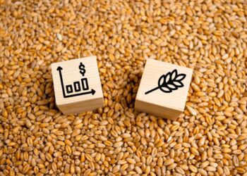 Featured image for: Gold vs. Sustainable Agriculture ETFs: Which Commodity Predicts Inflation Better?